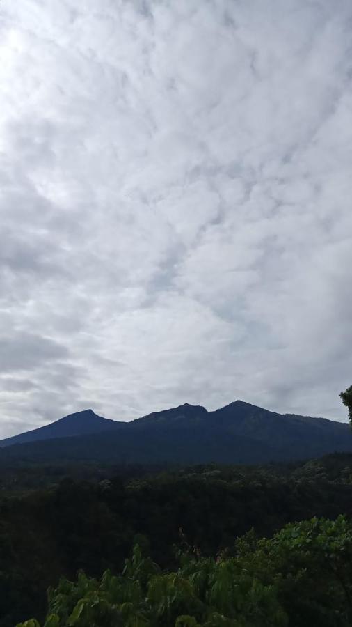 Achita Cottages เซอนารู ภายนอก รูปภาพ